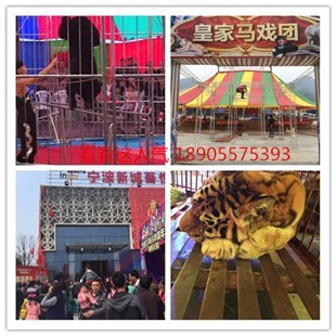 哪里有百鳥展泰州租賃