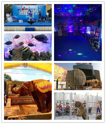 合作市萌寵羊駝出租馬戲團表演