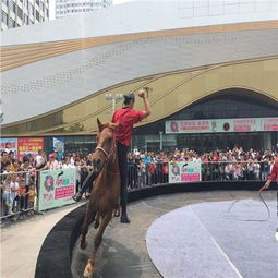 固始縣外籍馬戲團表演出租檔期有沒有