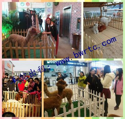 黔南什么地方有出租馬戲團的嗎?_產(chǎn)品庫_金農(nóng)網(wǎng)