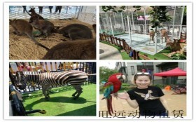 河南泌陽(yáng)租賃馬戲團(tuán)表演價(jià)格有沒有