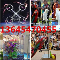 新疆阜康專業(yè)出租動(dòng)物表演租賃公司出租動(dòng)物動(dòng)物表演