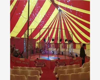 合作市馬戲團表演場景一天多少錢