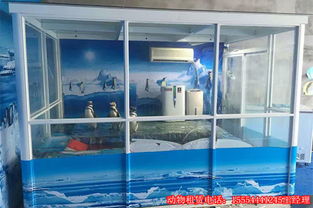 馬戲表演什么價(jià)格重慶馬戲團(tuán)表演租賃7天多少錢