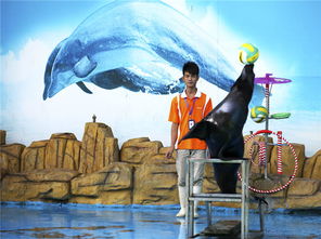 蘇州馬戲團(tuán)租賃活動(dòng)商業(yè)演出選擇