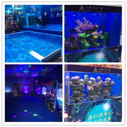 江油市馬戲團(tuán)表演租賃