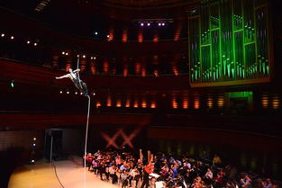 費(fèi)城迎來視聽盛宴：馬戲團(tuán)演出租賃服務(wù)引爆全城熱潮