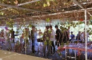 北京庫(kù)房租賃與馬戲團(tuán)表演合作 一站式資源指南